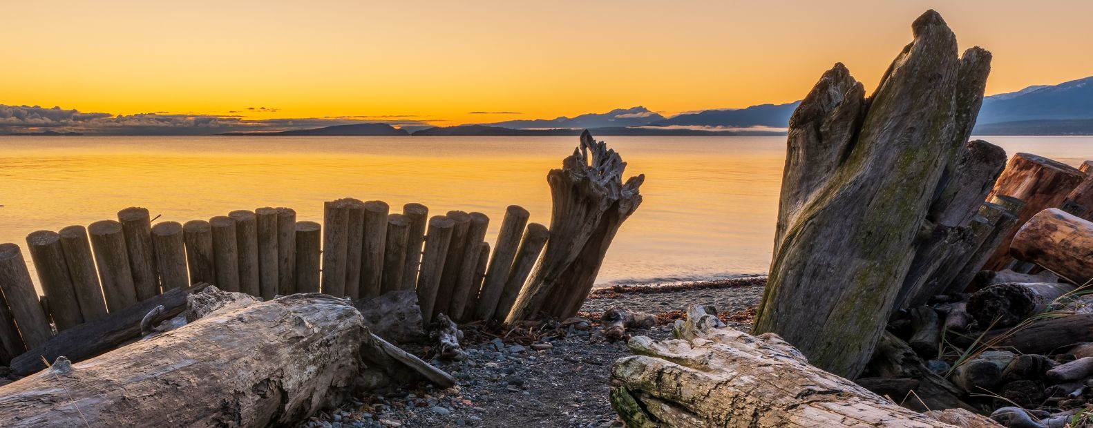 Bûches de Goose Spit