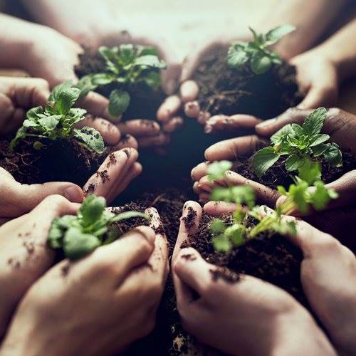 Croissance et soutien