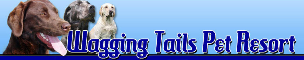 Logo Wagging Tails Pet Resort