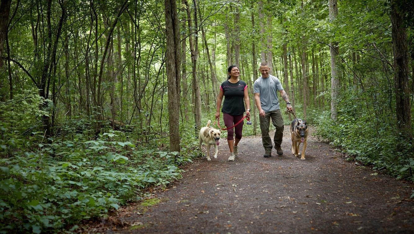 PSP spécialiste de la promotion de la santé pointant l'écran numérique