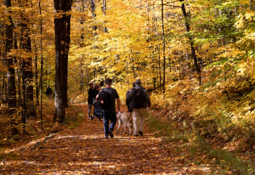 Des personnes qui font de la randonnée dans le parc de la Gatineau