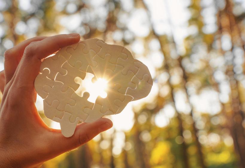 Hand holding a puzzle piece shaped like a brain, sunlight shining through in a forest setting.