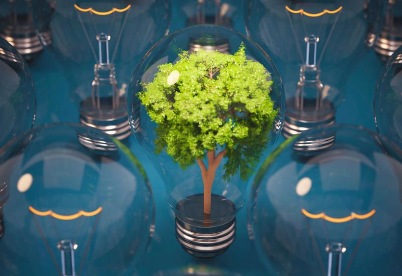 Une série d’ampoules lumineuses entoure une ampoule centrale contenant un petit arbre vert.