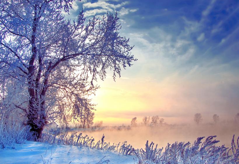 Matin d’hiver couvert de rosée