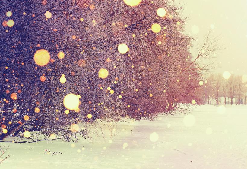 Globe en verre dans la neige