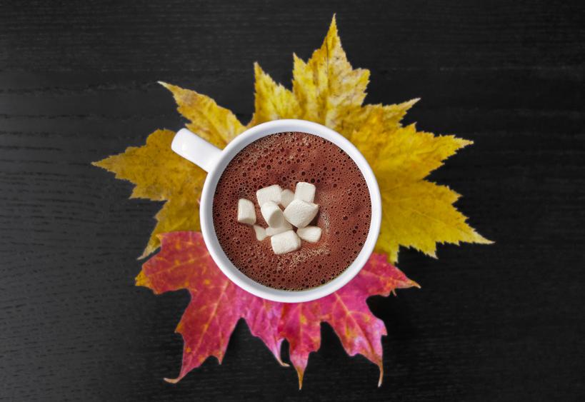 Ambiance automnale chaleureuse