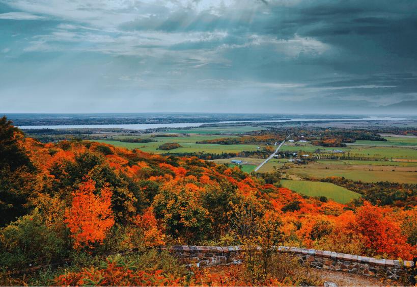 Ambiance automnale chaleureuse