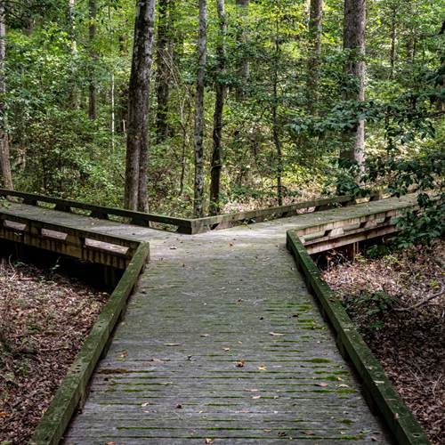 Nous aidant à prendre des décisions éclairées