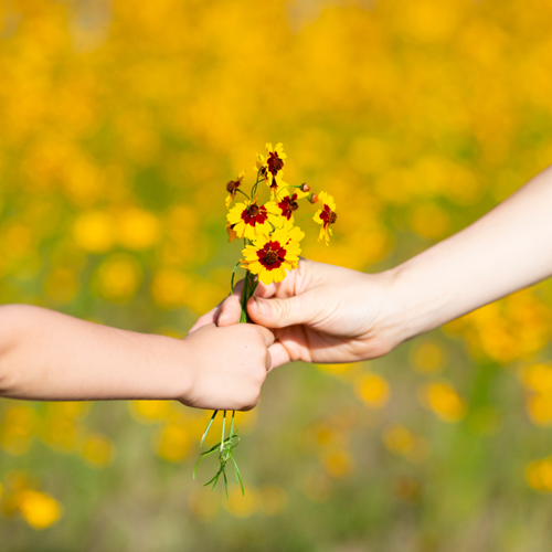 Perspectives et soutien