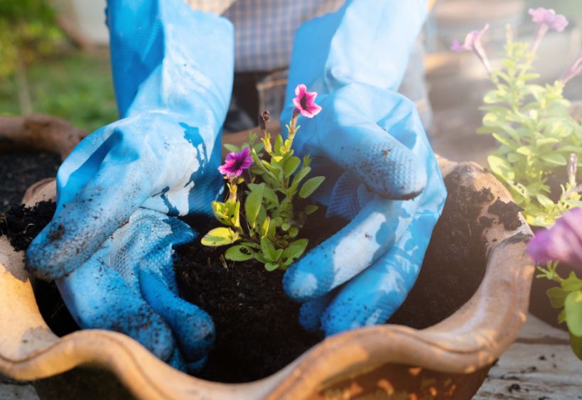 Personne en train de planter des fleurs dans un pot