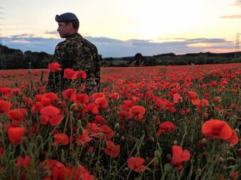 un soldat dans un champ de coquelicots