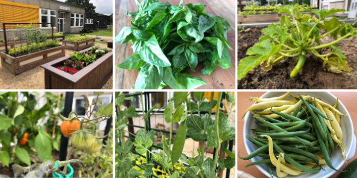 Jardin communautaire de Niederheid