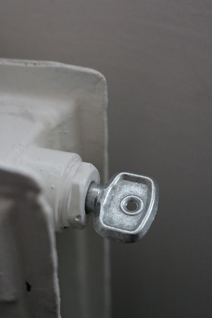 clé pour purgeur de radiateur