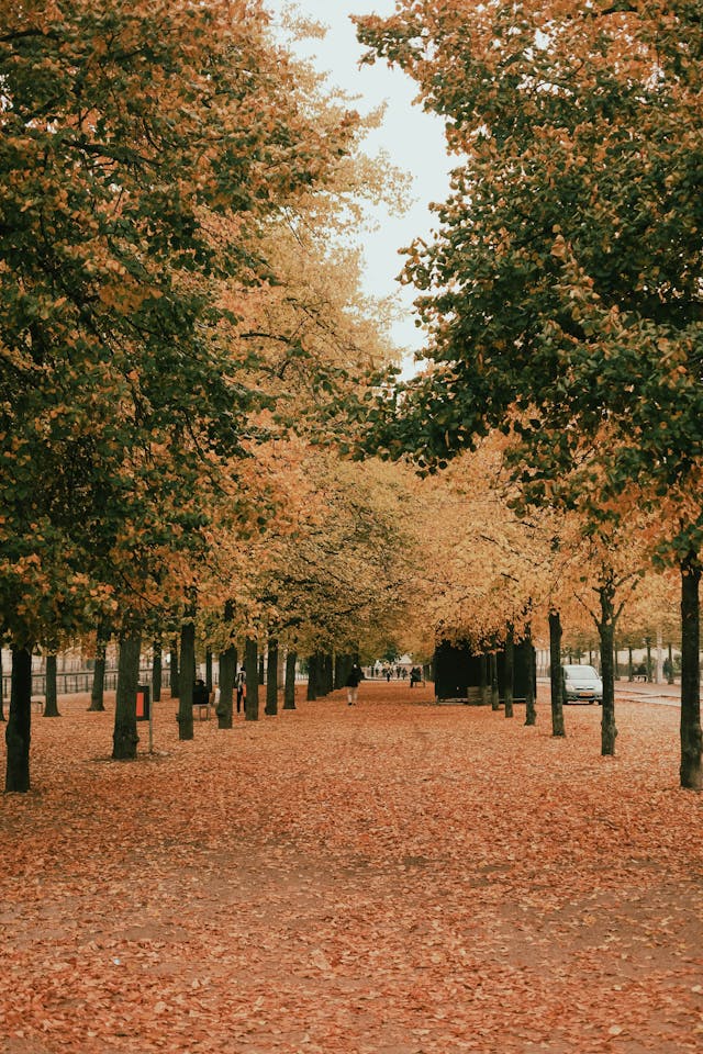 Sentier d'automne dans le parc urbain de Berlin