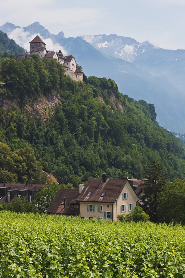 Maisons en béton brun près des arbres