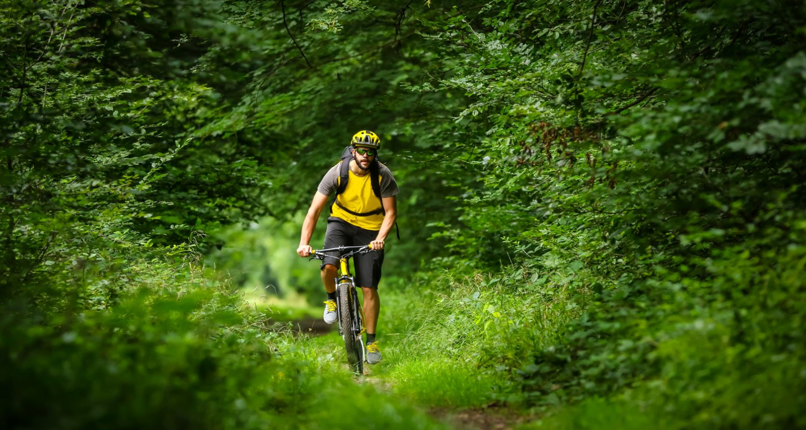 faire du vélo sur un sentier en forêt