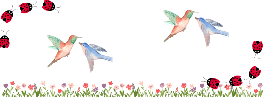 Image d'oiseaux, de coccinelles et de fleurs