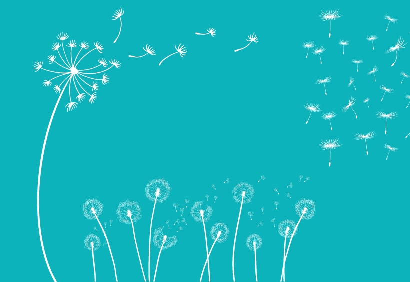 Une photo de pissenlits