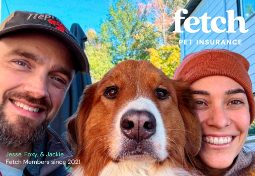 chien et ses maîtres, logo Fetch