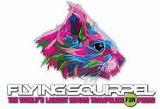 Logo Flying Squirrel Sports