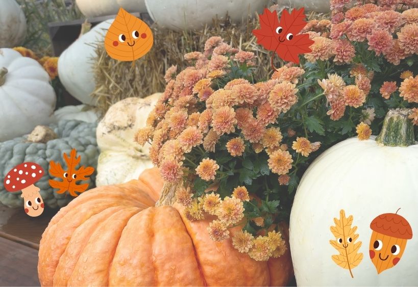Citrouilles d'automne et chrysanthèmes avec motifs de feuilles de bande dessinée