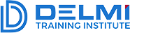 Logo Delmi Solutions Inc